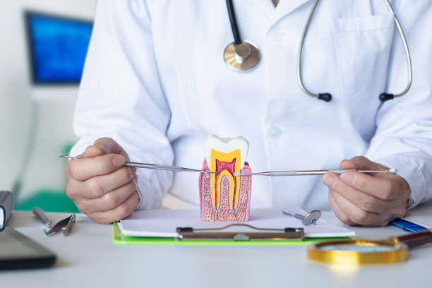 Best Pediatric Emergency Dentist in Hilton Head Island, SC